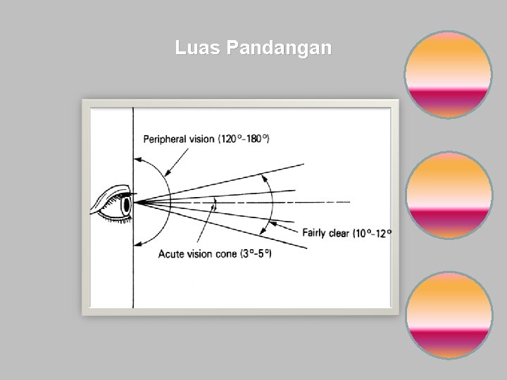 Luas Pandangan 