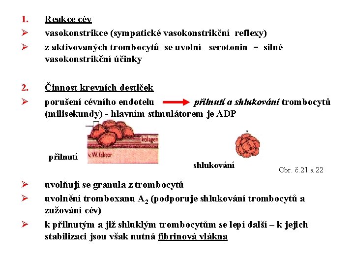 1. Ø Ø Reakce cév vasokonstrikce (sympatické vasokonstrikční reflexy) z aktivovaných trombocytů se uvolní