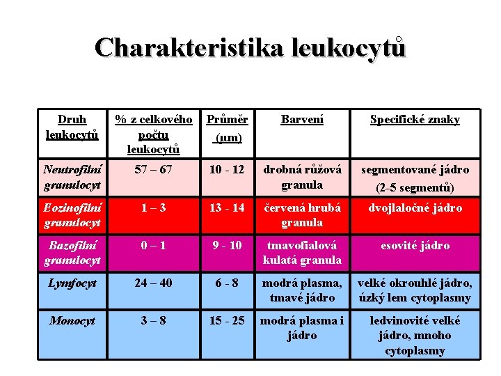 Charakteristika leukocytů Druh leukocytů % z celkového počtu leukocytů Průměr (µm) Barvení Specifické znaky