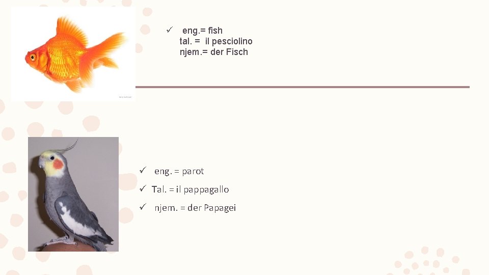 ü eng. = fish tal. = il pesciolino njem. = der Fisch ü eng.