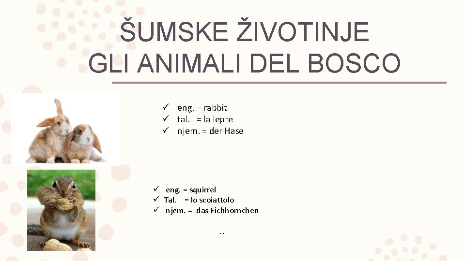 ŠUMSKE ŽIVOTINJE GLI ANIMALI DEL BOSCO ü eng. = rabbit ü tal. = la