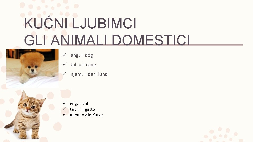 KUĆNI LJUBIMCI GLI ANIMALI DOMESTICI ü eng. = dog ü tal. = il cane