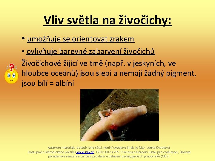 Vliv světla na živočichy: • umožňuje se orientovat zrakem • ovlivňuje barevné zabarvení živočichů