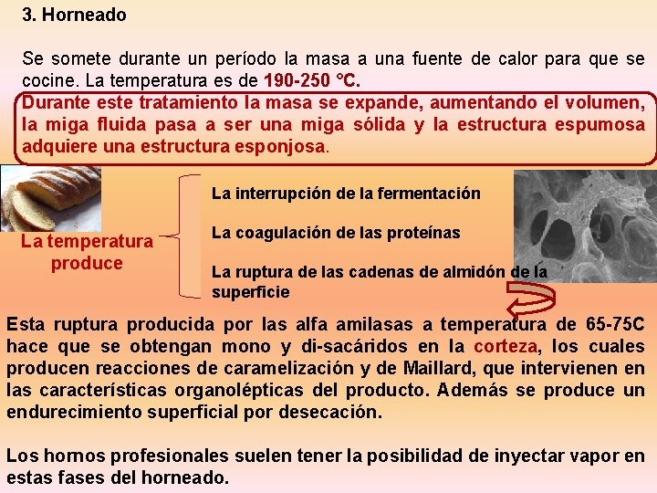 3. Horneado Se somete durante un período la masa a una fuente de calor