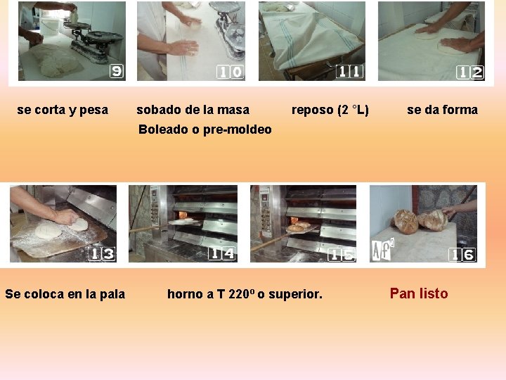 se corta y pesa sobado de la masa reposo (2 °L) se da forma