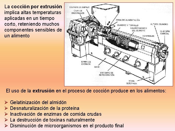 La cocción por extrusión implica altas temperaturas aplicadas en un tiempo corto, reteniendo muchos