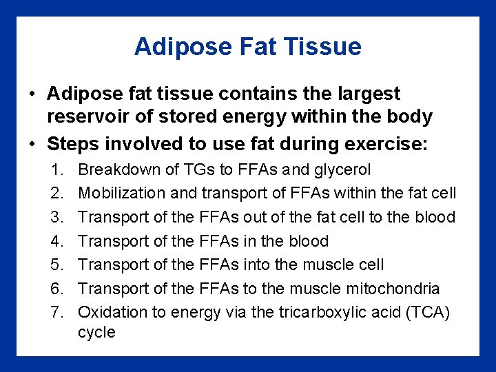 Adipose Fat Tissue • Adipose fat tissue contains the largest reservoir of stored energy
