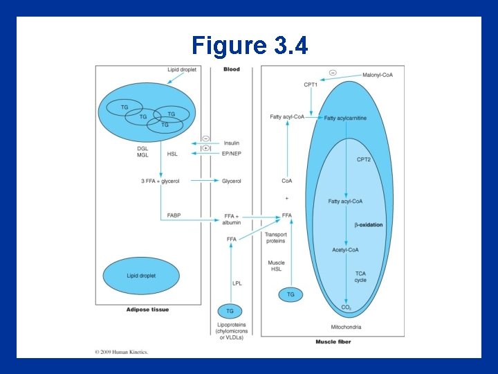 Figure 3. 4 