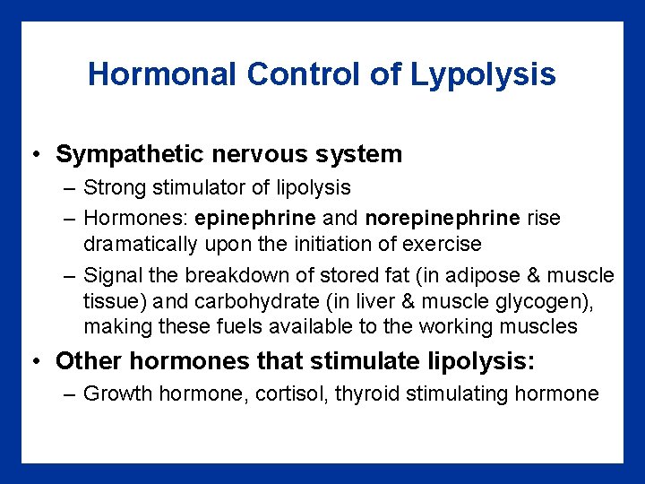 Hormonal Control of Lypolysis • Sympathetic nervous system – Strong stimulator of lipolysis –