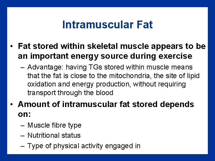 Intramuscular Fat • Fat stored within skeletal muscle appears to be an important energy