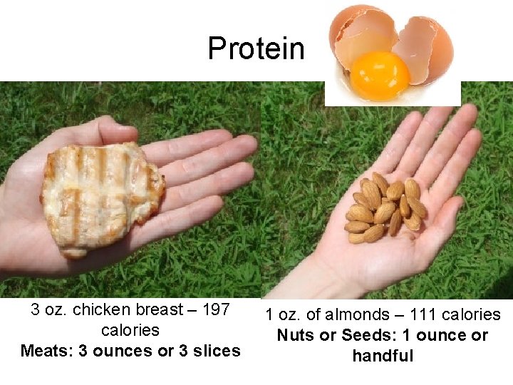 Protein 3 oz. chicken breast – 197 calories Meats: 3 ounces or 3 slices