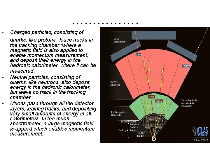 ……………. • • • Charged particles, consisting of quarks, like protons, leave tracks in