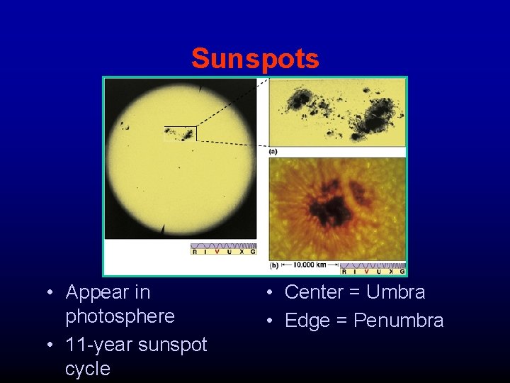 Sunspots • Appear in photosphere • 11 -year sunspot cycle • Center = Umbra