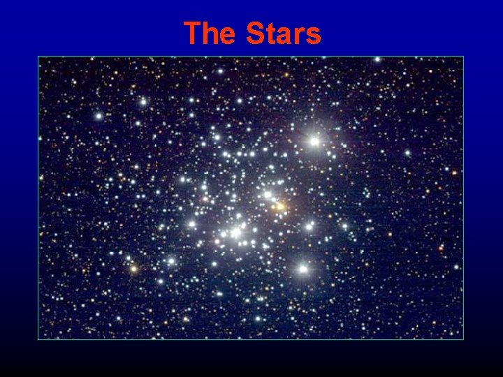 The Stars 