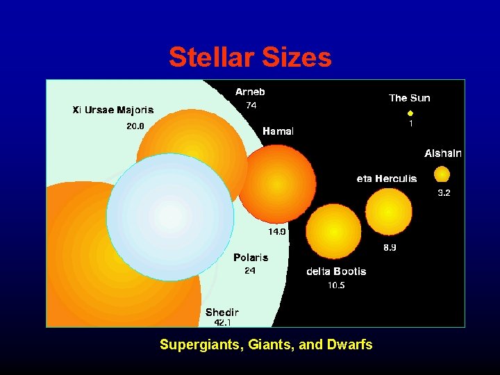 Stellar Sizes Supergiants, Giants, and Dwarfs 