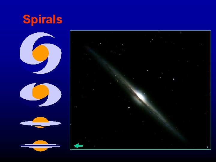 Spirals 