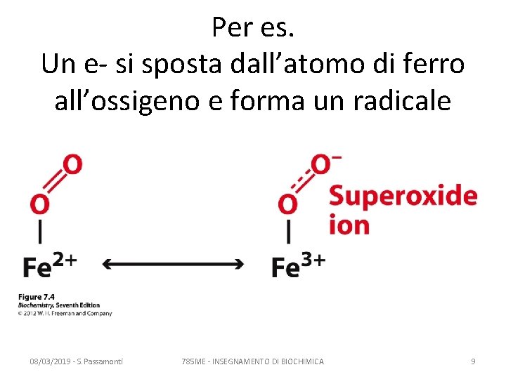 Per es. Un e- si sposta dall’atomo di ferro all’ossigeno e forma un radicale Per es. Un e- si sposta dall’atomo di ferro all’ossigeno e forma un radicale