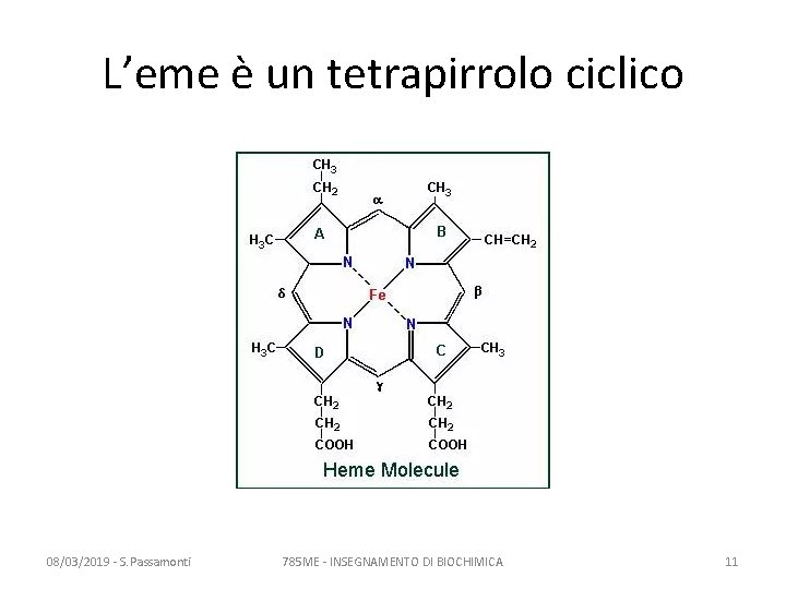 L’eme è un tetrapirrolo ciclico 08/03/2019 - S. Passamonti 785 ME - INSEGNAMENTO DI L’eme è un tetrapirrolo ciclico 08/03/2019 - S. Passamonti 785 ME - INSEGNAMENTO DI