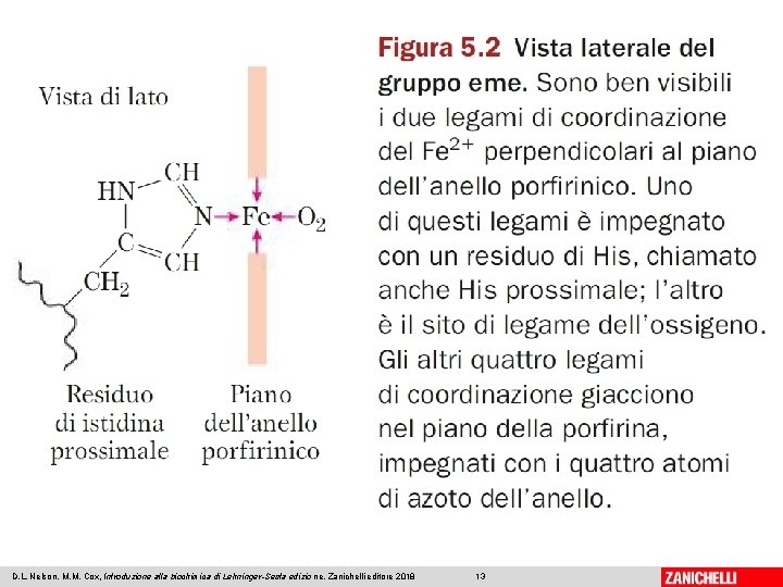 D. L. Nelson, M. M. Cox, Introduzione alla biochimica di Lehninger-Sesta edizio ne, Zanichelli D. L. Nelson, M. M. Cox, Introduzione alla biochimica di Lehninger-Sesta edizio ne, Zanichelli