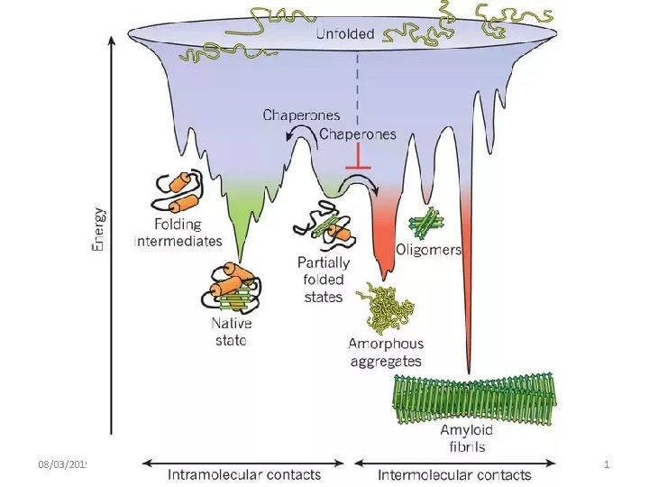 08/03/2019 - S. Passamonti 785 ME - INSEGNAMENTO DI BIOCHIMICA 1 08/03/2019 - S. Passamonti 785 ME - INSEGNAMENTO DI BIOCHIMICA 1