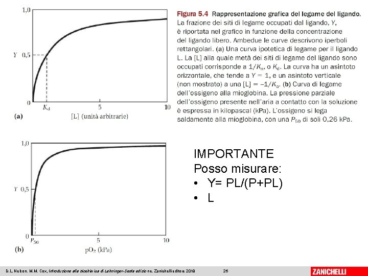 IMPORTANTE Posso misurare: • Y= PL/(P+PL) • L D. L. Nelson, M. M. Cox, IMPORTANTE Posso misurare: • Y= PL/(P+PL) • L D. L. Nelson, M. M. Cox,