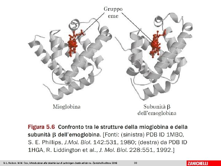 D. L. Nelson, M. M. Cox, Introduzione alla biochimica di Lehninger-Sesta edizio ne, Zanichelli D. L. Nelson, M. M. Cox, Introduzione alla biochimica di Lehninger-Sesta edizio ne, Zanichelli