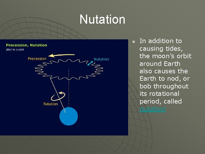 Nutation u In addition to causing tides, the moon’s orbit around Earth also causes