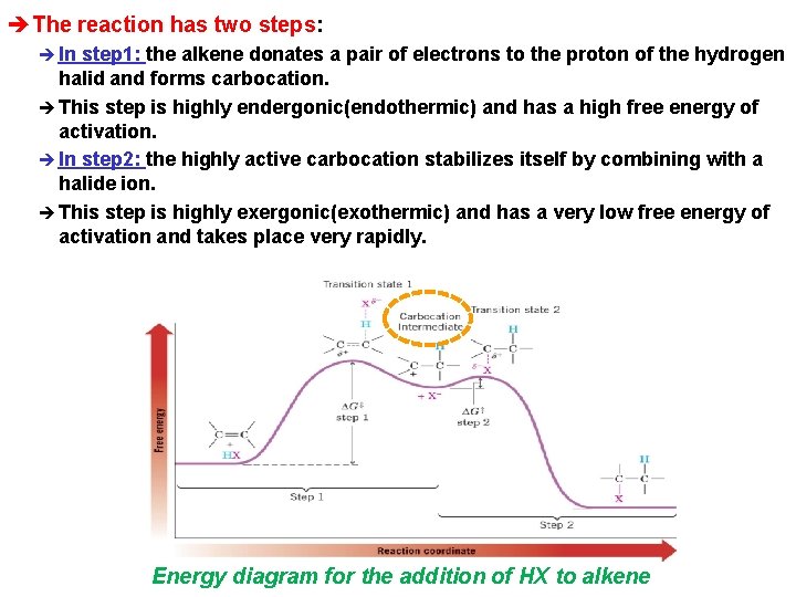 èThe reaction has two steps: è In step 1: the alkene donates a pair