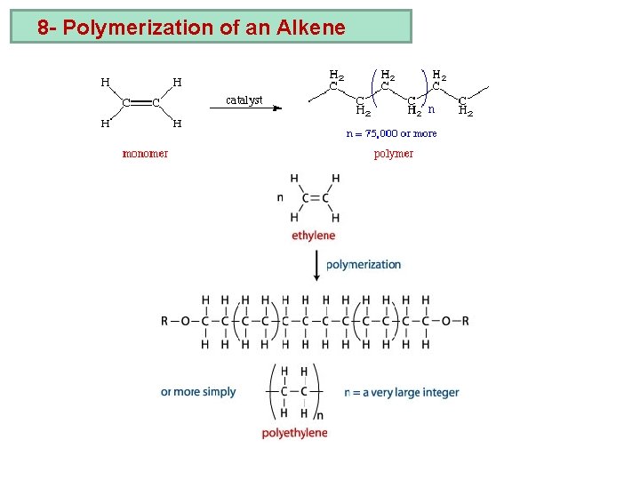 8 - Polymerization of an Alkene 