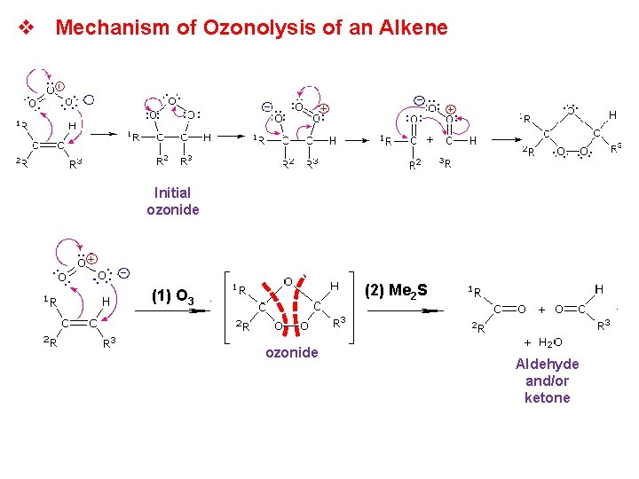 v Mechanism of Ozonolysis of an Alkene Initial ozonide (2) Me 2 S (1)