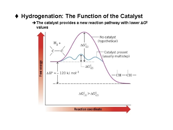 t Hydrogenation: The Function of the Catalyst èThe catalyst provides a new reaction pathway