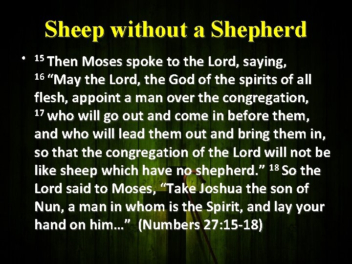 Sheep without a Shepherd • 15 Then Moses spoke to the Lord, saying, 16