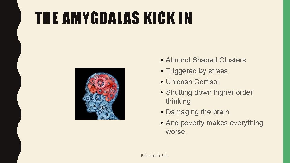 THE AMYGDALAS KICK IN • • Almond Shaped Clusters Triggered by stress Unleash Cortisol