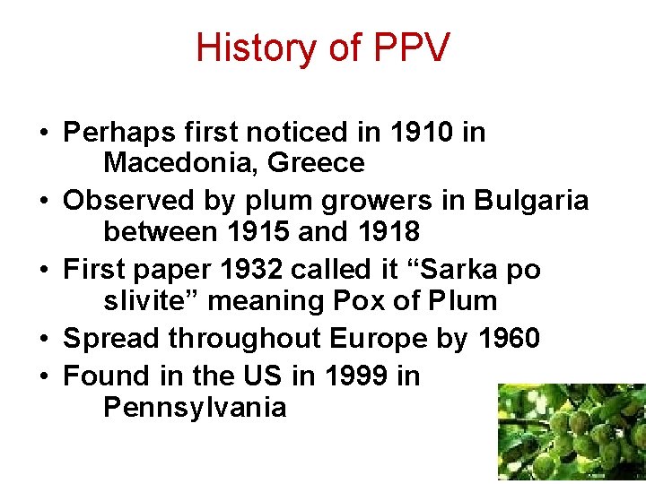 History of PPV • Perhaps first noticed in 1910 in Macedonia, Greece • Observed