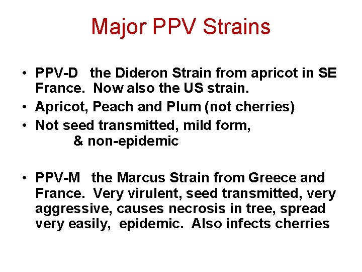 Major PPV Strains • PPV-D the Dideron Strain from apricot in SE France. Now