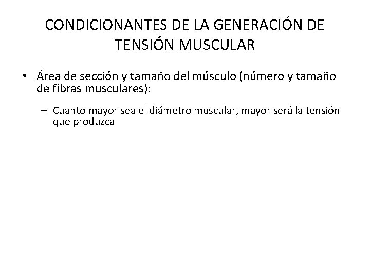 CONDICIONANTES DE LA GENERACIÓN DE TENSIÓN MUSCULAR • Área de sección y tamaño del