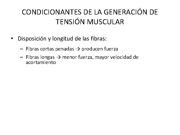 CONDICIONANTES DE LA GENERACIÓN DE TENSIÓN MUSCULAR • Disposición y longitud de las fibras:
