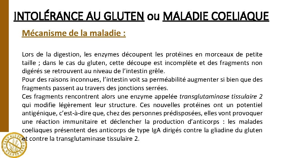 INTOLÉRANCE AU GLUTEN ou MALADIE COELIAQUE Mécanisme de la maladie : Lors de la