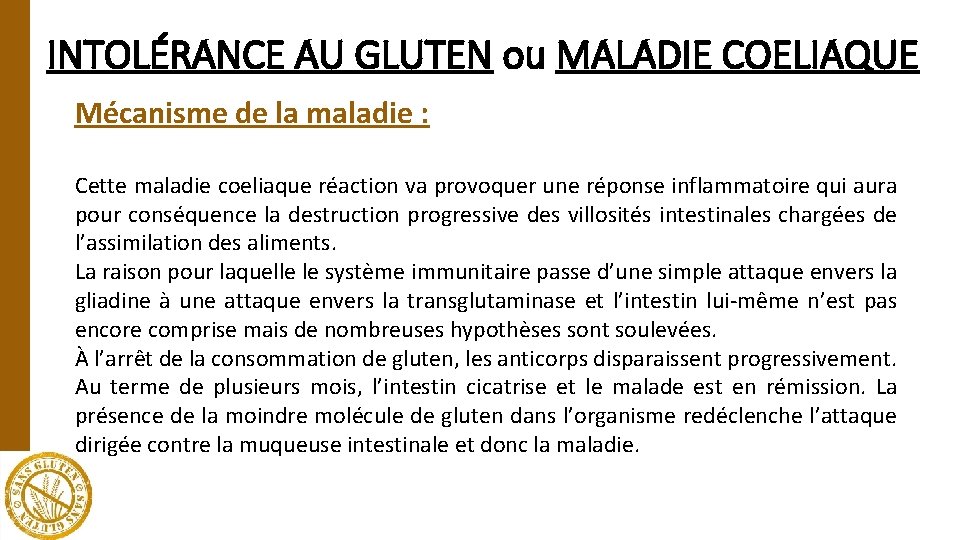 INTOLÉRANCE AU GLUTEN ou MALADIE COELIAQUE Mécanisme de la maladie : Cette maladie coeliaque