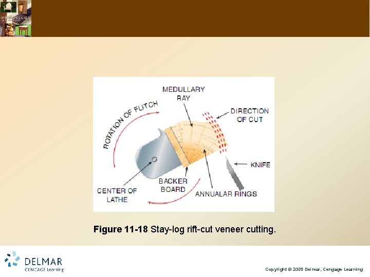 Figure 11 -18 Stay-log rift-cut veneer cutting. Copyright © 2009 Delmar, Cengage Learning 