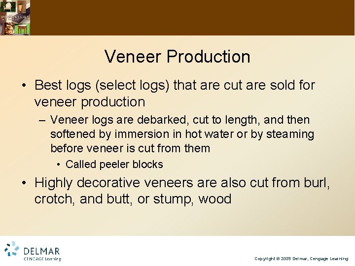 Veneer Production • Best logs (select logs) that are cut are sold for veneer