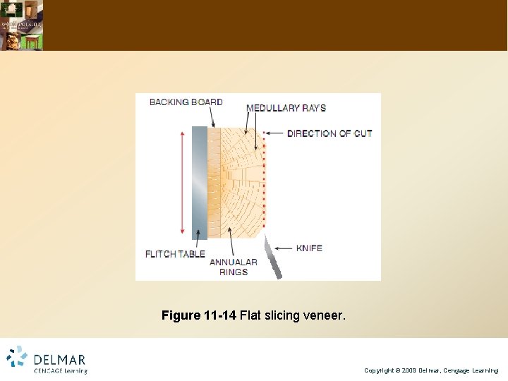 Figure 11 -14 Flat slicing veneer. Copyright © 2009 Delmar, Cengage Learning 