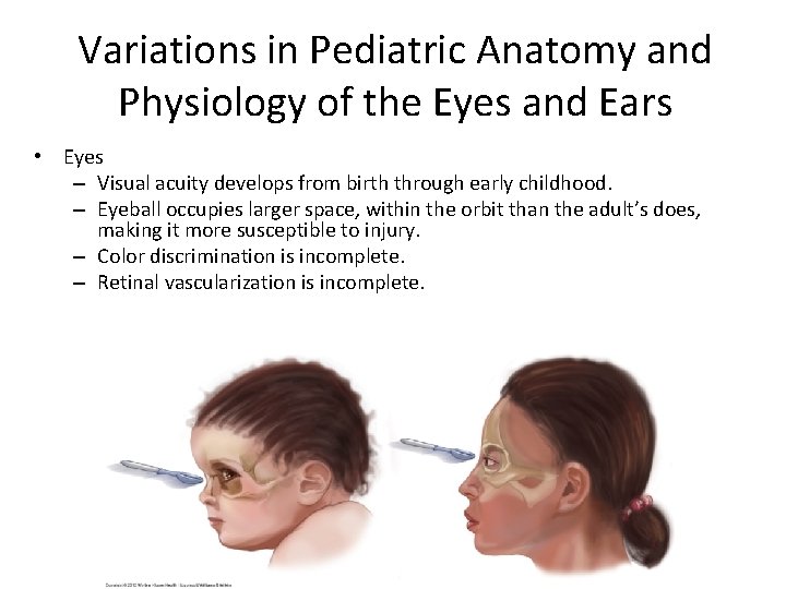 Variations in Pediatric Anatomy and Physiology of the Eyes and Ears • Eyes –