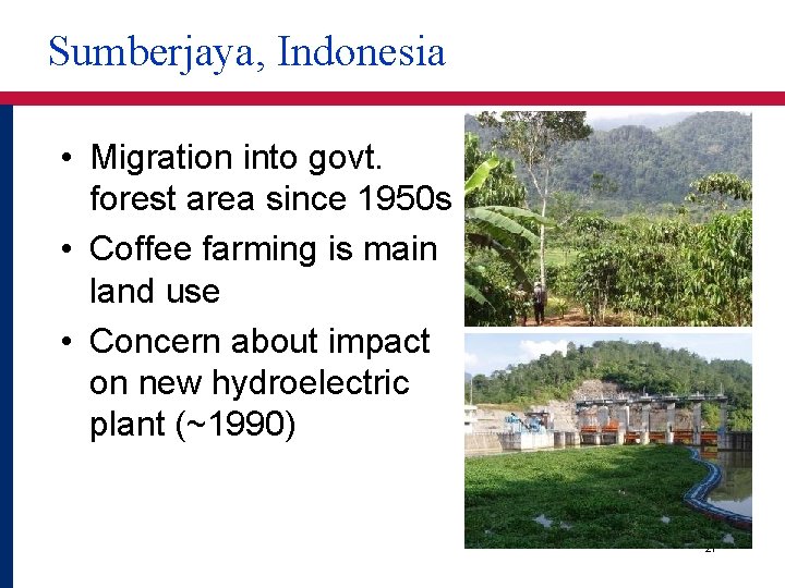 Sumberjaya, Indonesia • Migration into govt. forest area since 1950 s • Coffee farming