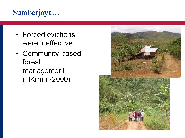 Sumberjaya… • Forced evictions were ineffective • Community-based forest management (HKm) (~2000) 28 