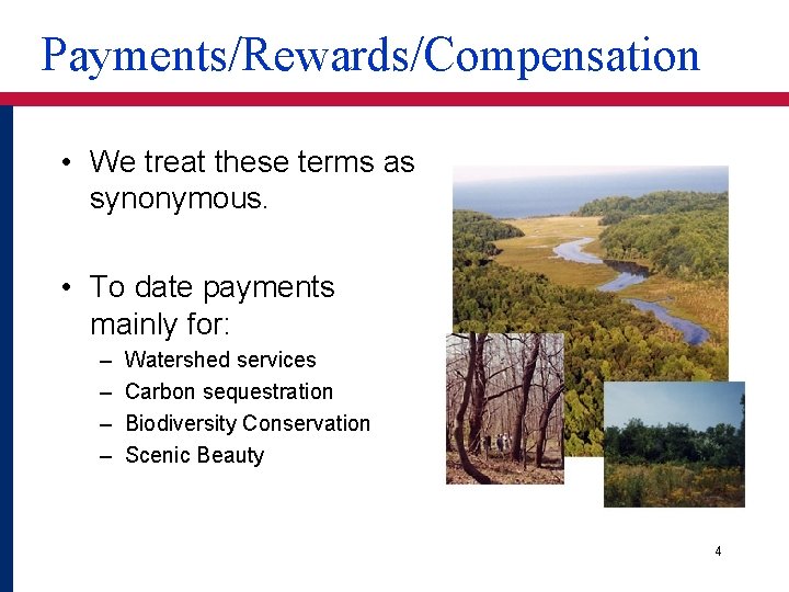 Payments/Rewards/Compensation • We treat these terms as synonymous. • To date payments mainly for: