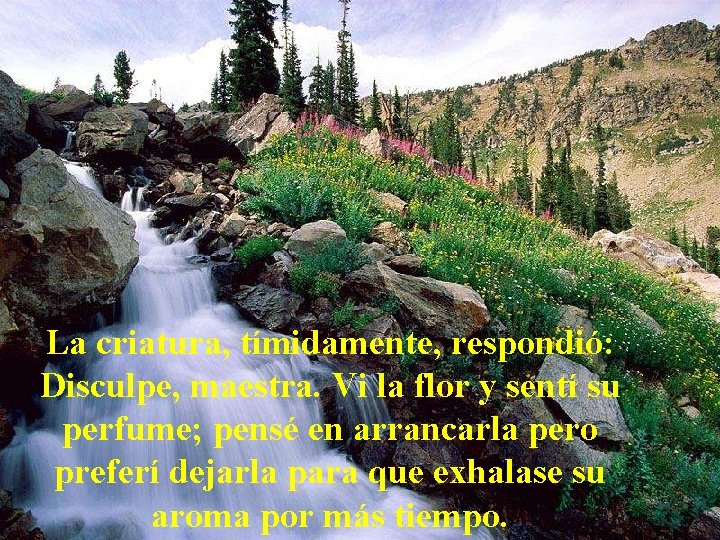 La criatura, tímidamente, respondió: Disculpe, maestra. Vi la flor y sentí su perfume; pensé