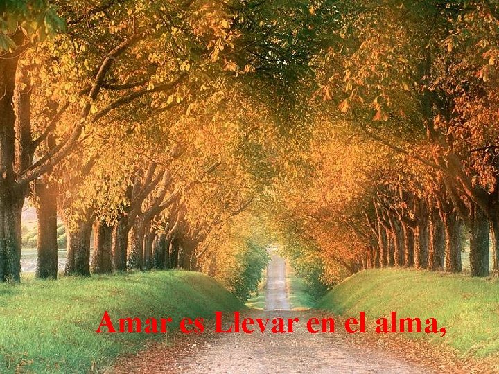 Amar es Llevar en el alma, 