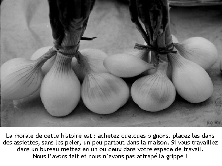 La morale de cette histoire est : achetez quelques oignons, placez les dans des