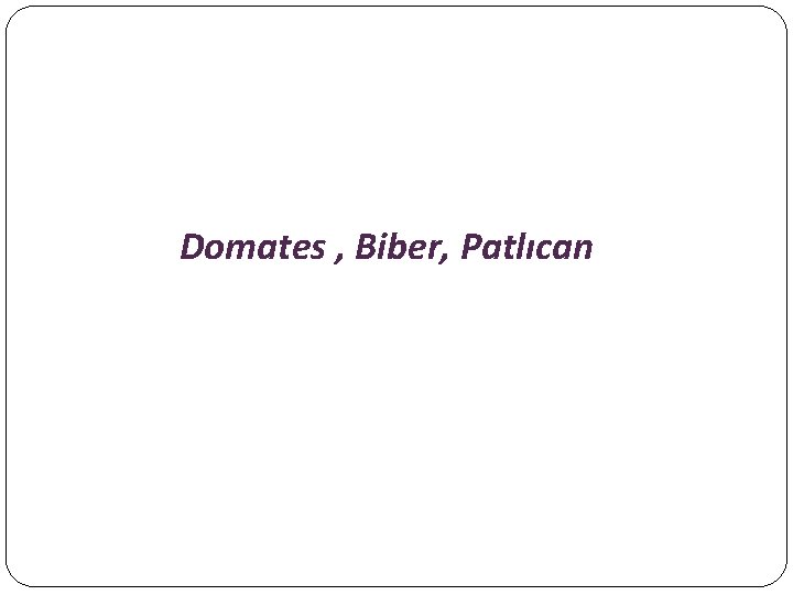 Domates , Biber, Patlıcan 